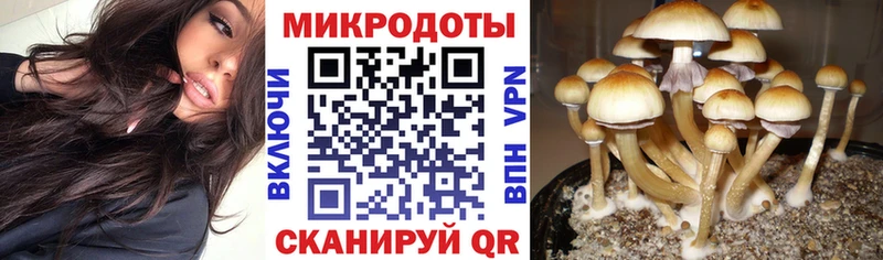 Псилоцибиновые грибы прущие грибы  Купить закладки  Козельск 